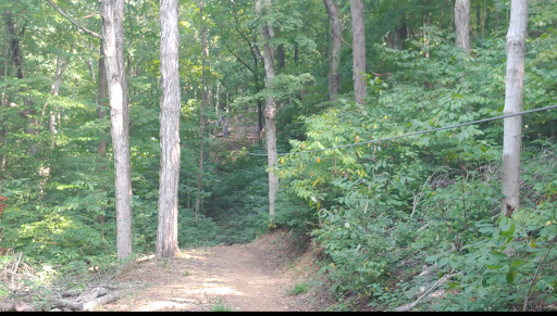 Tourist Attraction «Adventureworks Zipline Forest», reviews and photos, 4129 Whites Creek Pike, Whites Creek, TN 37189, USA