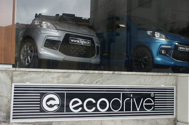Ecodrive - Car Rental Solutions, Lda. - Agência de aluguel de carros