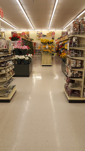 Craft Store «Hobby Lobby», reviews and photos, 14858 Preston Rd, Dallas, TX 75240, USA