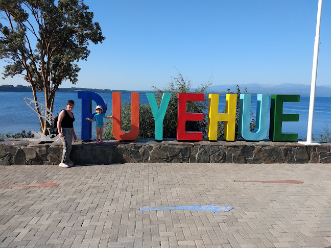 Costanera Lago Puyehue