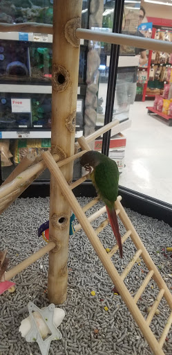 Pet Supply Store «Petco Animal Supplies», reviews and photos, 4915 E 41st St C, Tulsa, OK 74135, USA