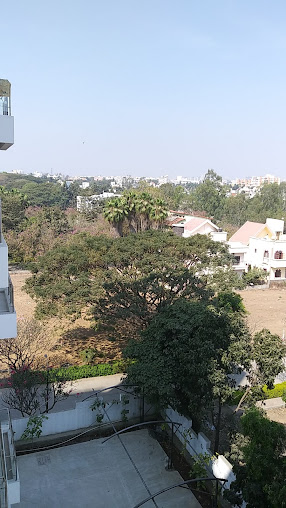 Google Maps image 28