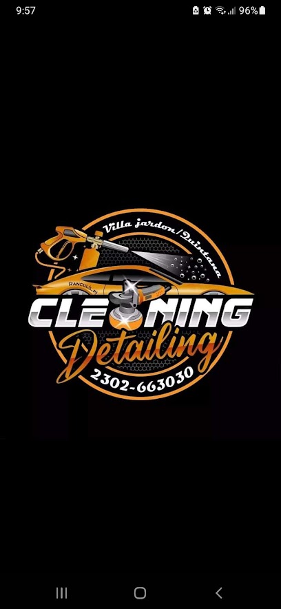 Cleaning detailing