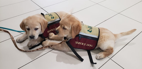 Aspen Service Dogs Inc.