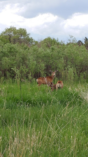 Park «Horseshoe Park», reviews and photos, 15151 E Alameda Pkwy, Aurora, CO 80012, USA