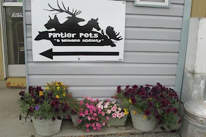 Pintler Pets image