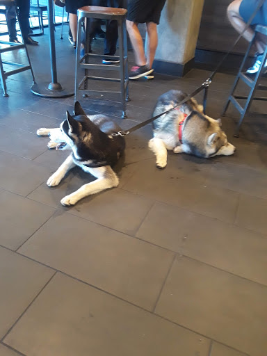 Starbucks image