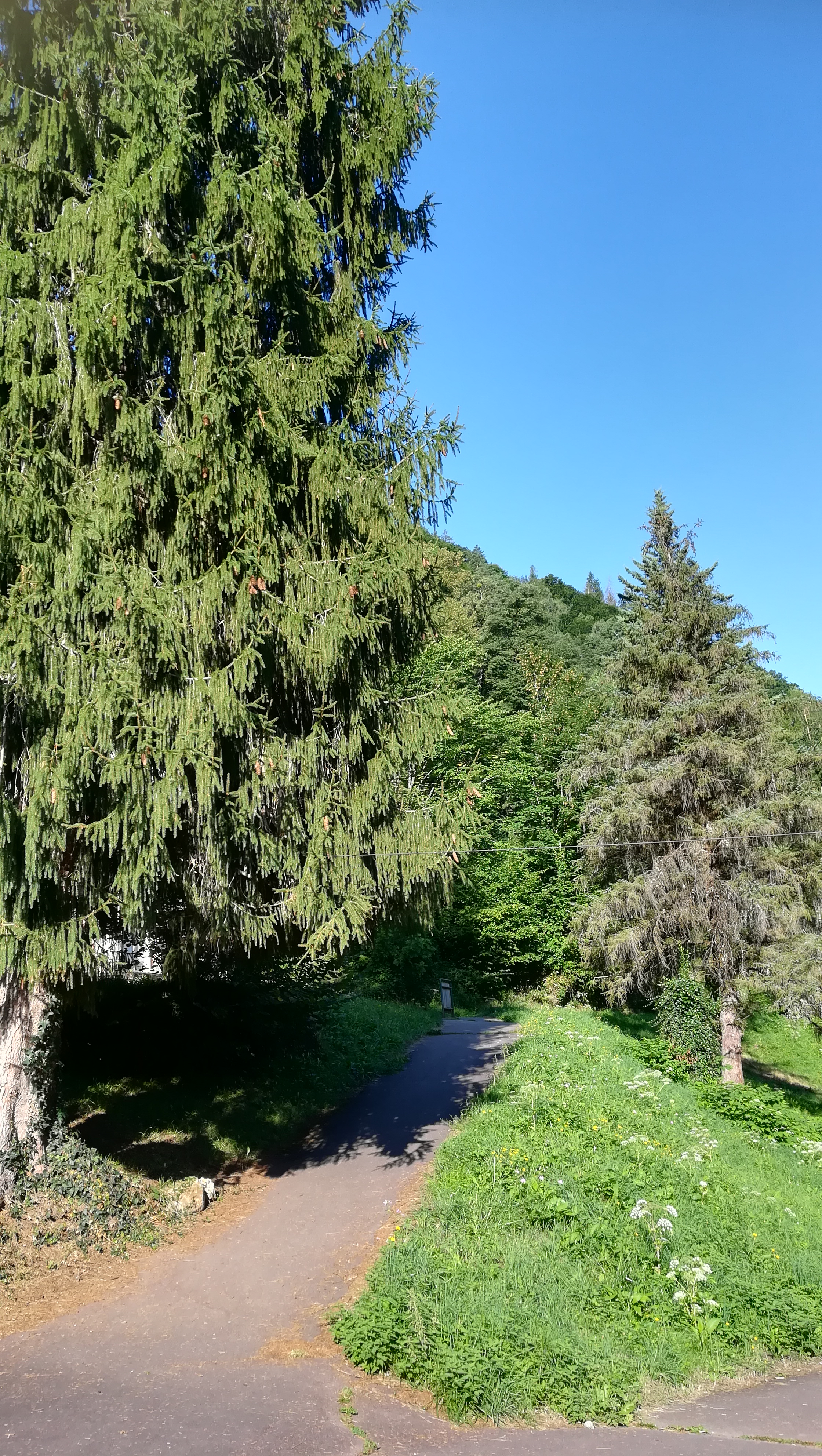 Photo n° 6 de l'avis de NOUNOU.7 fait le 01/09/2019 à 13:27