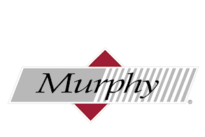 Murphy Business & Financial Services LLC