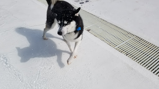 Water Park «Splish Splash Water Park», reviews and photos, 2549 Splish Splash Dr, Calverton, NY 11933, USA