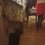 Photo n°4 de l'avis de Sabry70. fait le 18/08/2021 à 20:45 sur le  Ristorante La Pietra Carrata Alias Lumapuzz Di Donatella Di Lallo à Lettomanoppello