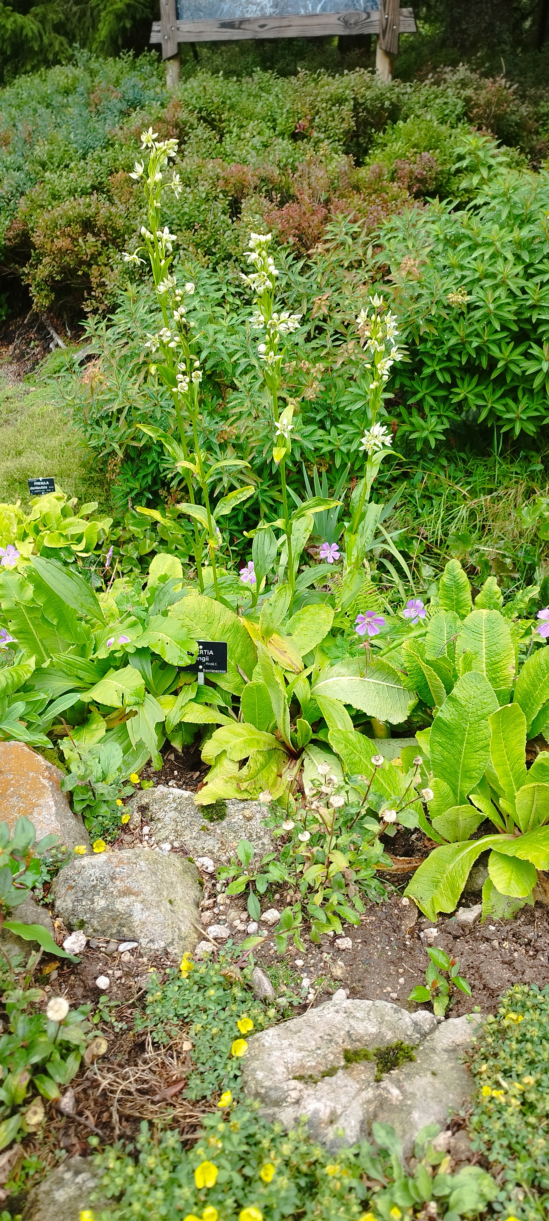 Photo n° 3 de l'avis de Auxtoky. fait le 02/09/2023 à 06:03