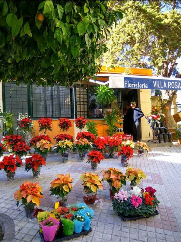 Floristería Villa Rosario