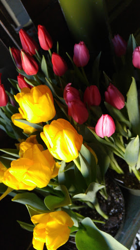 Florist «Platform 322», reviews and photos, 322 W Main St, Lexington, IL 61753, USA