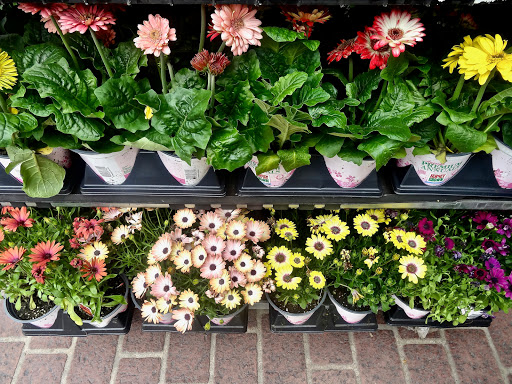 Supermarket «IGA Supermarkets», reviews and photos, 316 Marlborough St, Portland, CT 06480, USA