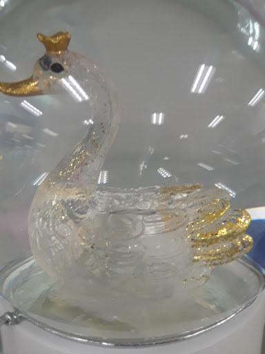 Department Store «Marshalls», reviews and photos, 3802 S Dale Mabry Hwy, Tampa, FL 33611, USA