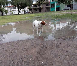 Fracc. San Isidro C. Park photo