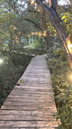 Photo n°42 de La Sauvagerie à La Teste-de-Buch ()