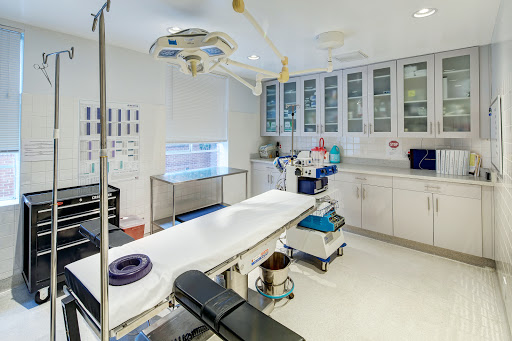 A.J. Khalil, M.D image