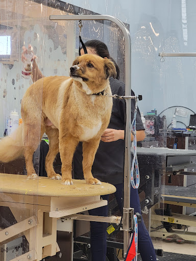 Pet Supply Store «PetSmart», reviews and photos, 6251 N Davis Hwy, Pensacola, FL 32504, USA