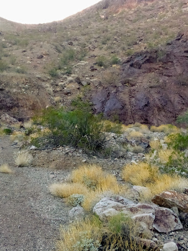 Museum «Boulder City-Hoover Dam Museum», reviews and photos