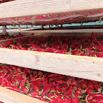 Photo n° 3 de l'avis de Carine.h fait le 10/08/2023 à 08:54 pour Atelier du Piment à Espelette à Espelette