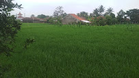 Foto SD  Negeri Mekarmulya, Kabupaten Cianjur