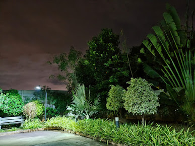 Google Maps image 25