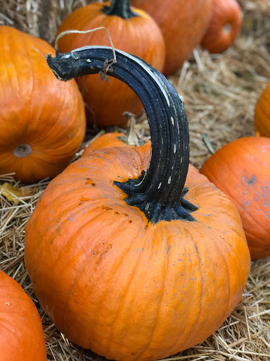 Produce Market «Washington Fruit Place At Barrett Orchards», reviews and photos, 1209 Pecks Canyon Rd, Yakima, WA 98908, USA