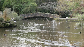 Duck Pond and Water Wheel Feature