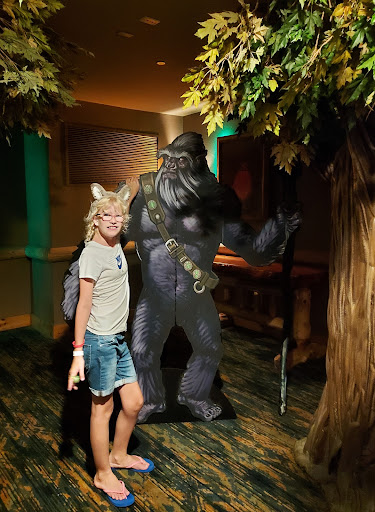 Resort «Great Wolf Lodge Concord», reviews and photos, 10175 Weddington Road, Concord, NC 28027, USA