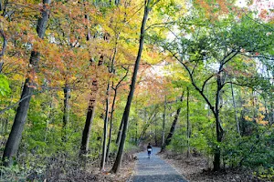 Vanderbilt Motor Parkway image