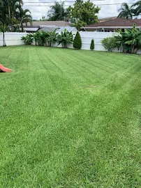 JAM Landscape & Design - Car repair in , St. Petersburg - Rated 4.4/5