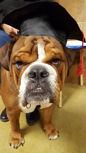 Pet Supply Store «PetSmart», reviews and photos, 187 Millburn Ave, Millburn, NJ 07041, USA