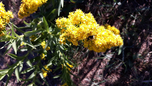 Park «Oceanside Park», reviews and photos, 3800 Mahlon Brower Dr, Oceanside, NY 11572, USA