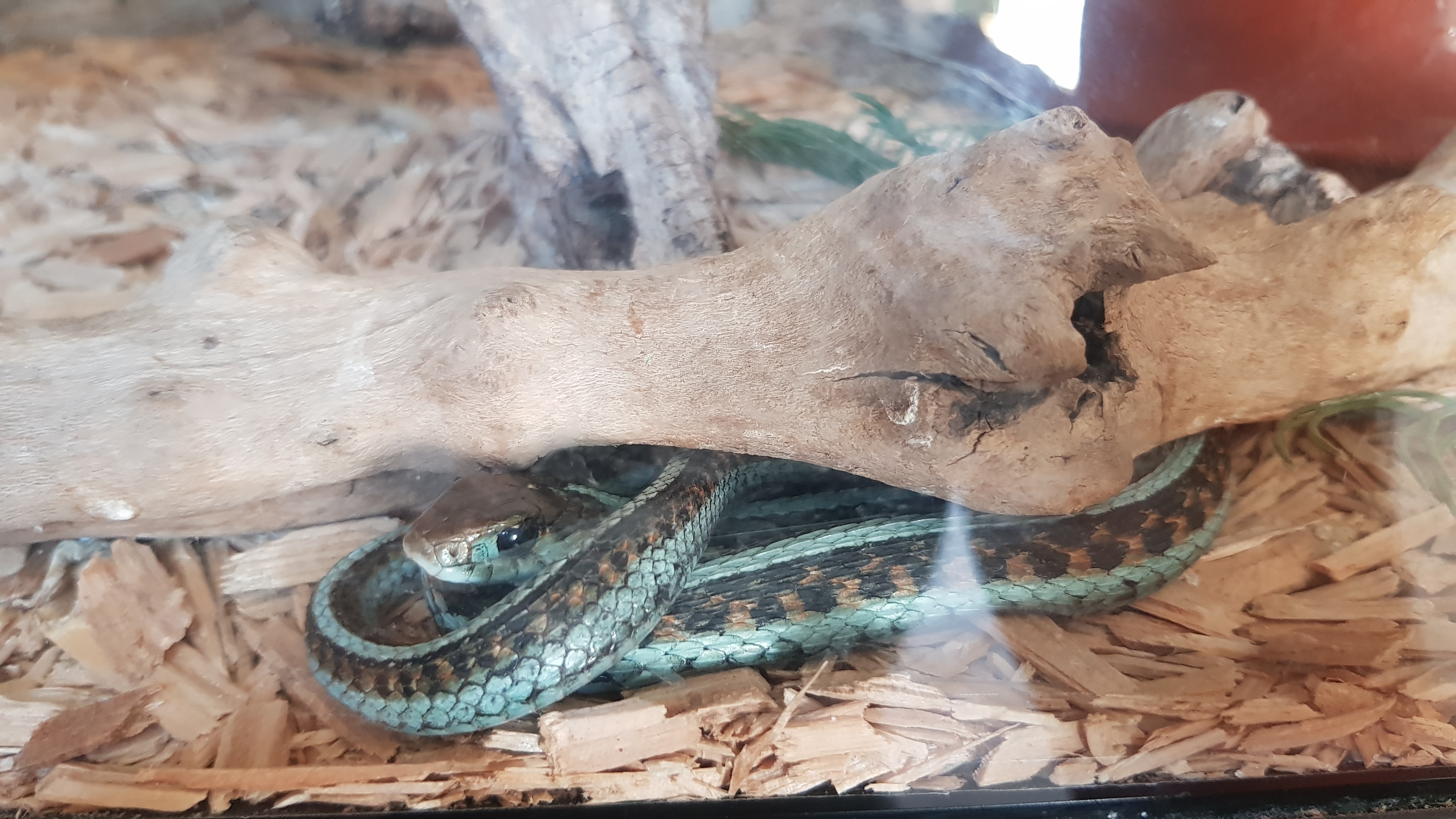 Photo n° 4 de l'avis de Jimy.r fait le 04/09/2019 à 07:35