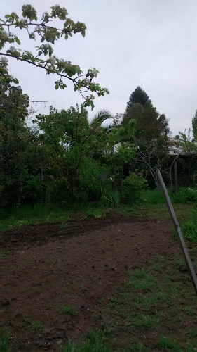 Opinii despre Iglesia Bautista Gracia Redentora en Rengo în Rengo - Iglesia