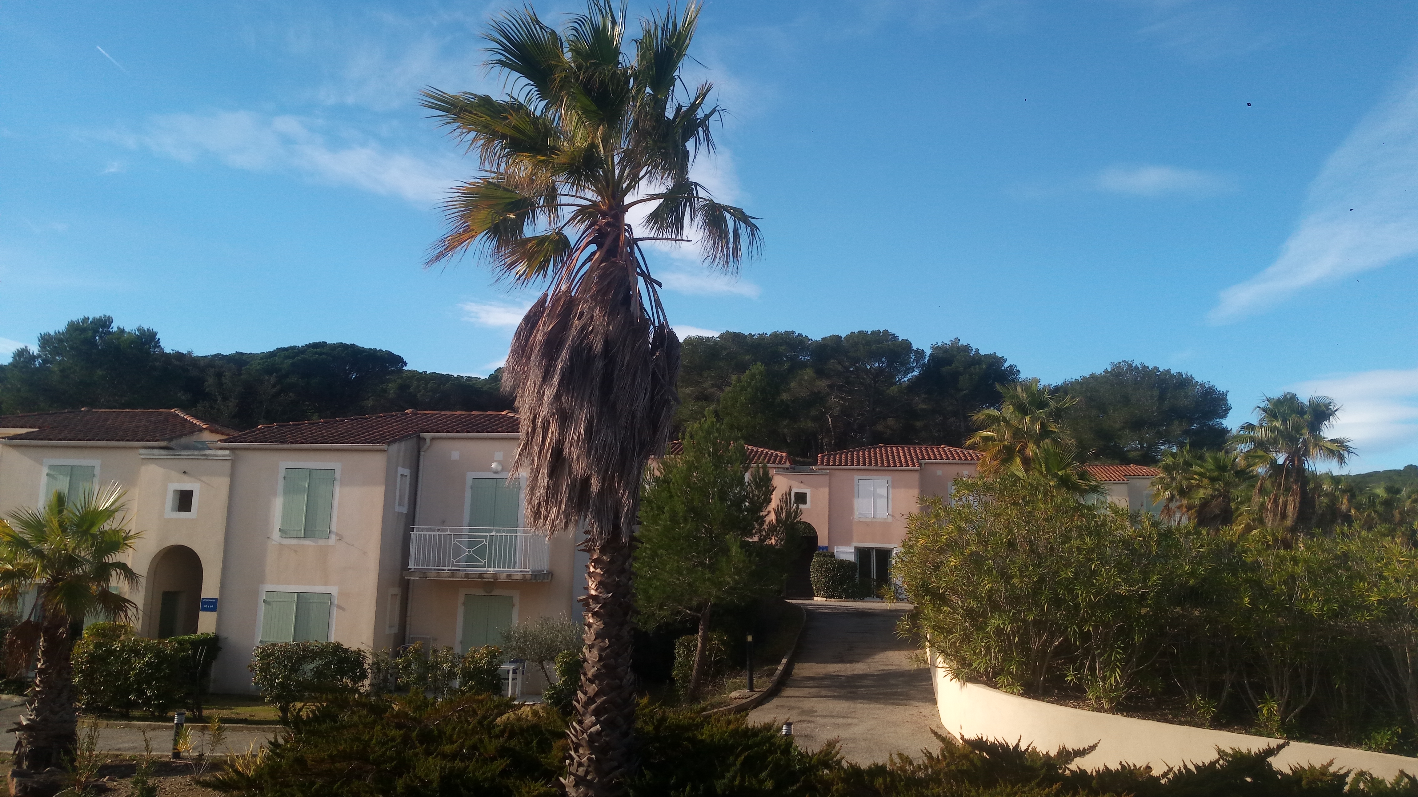 Photo n° 2 de l'avis de Robert.a fait le 13/02/2024 à 08:33