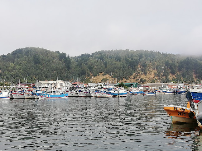 Comentarios y opiniones de Puerto Pesquero Lebu