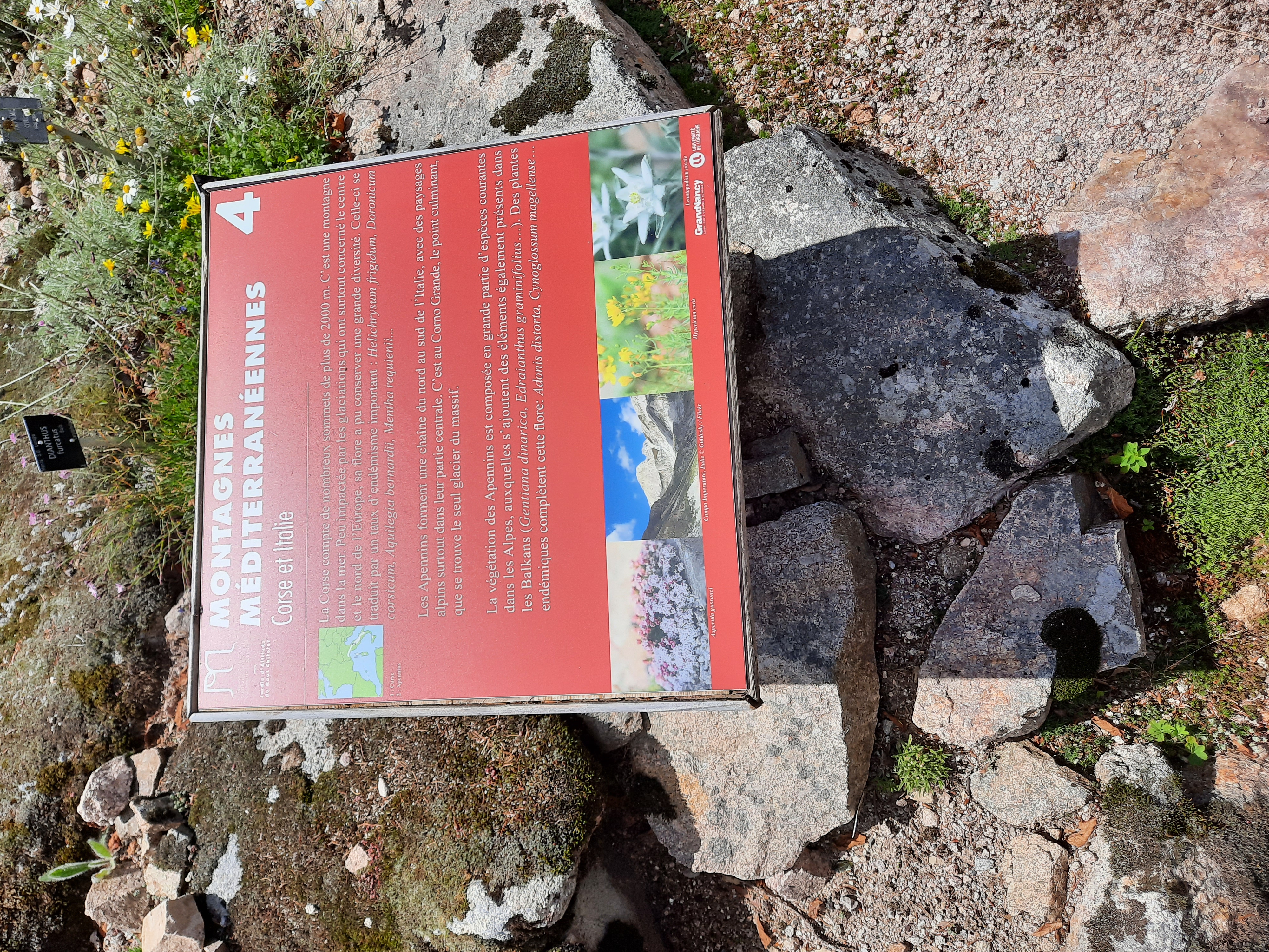 Photo n° 6 de l'avis de Victoria.e fait le 22/06/2020 à 21:37