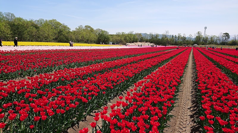 長池憩いの森公園