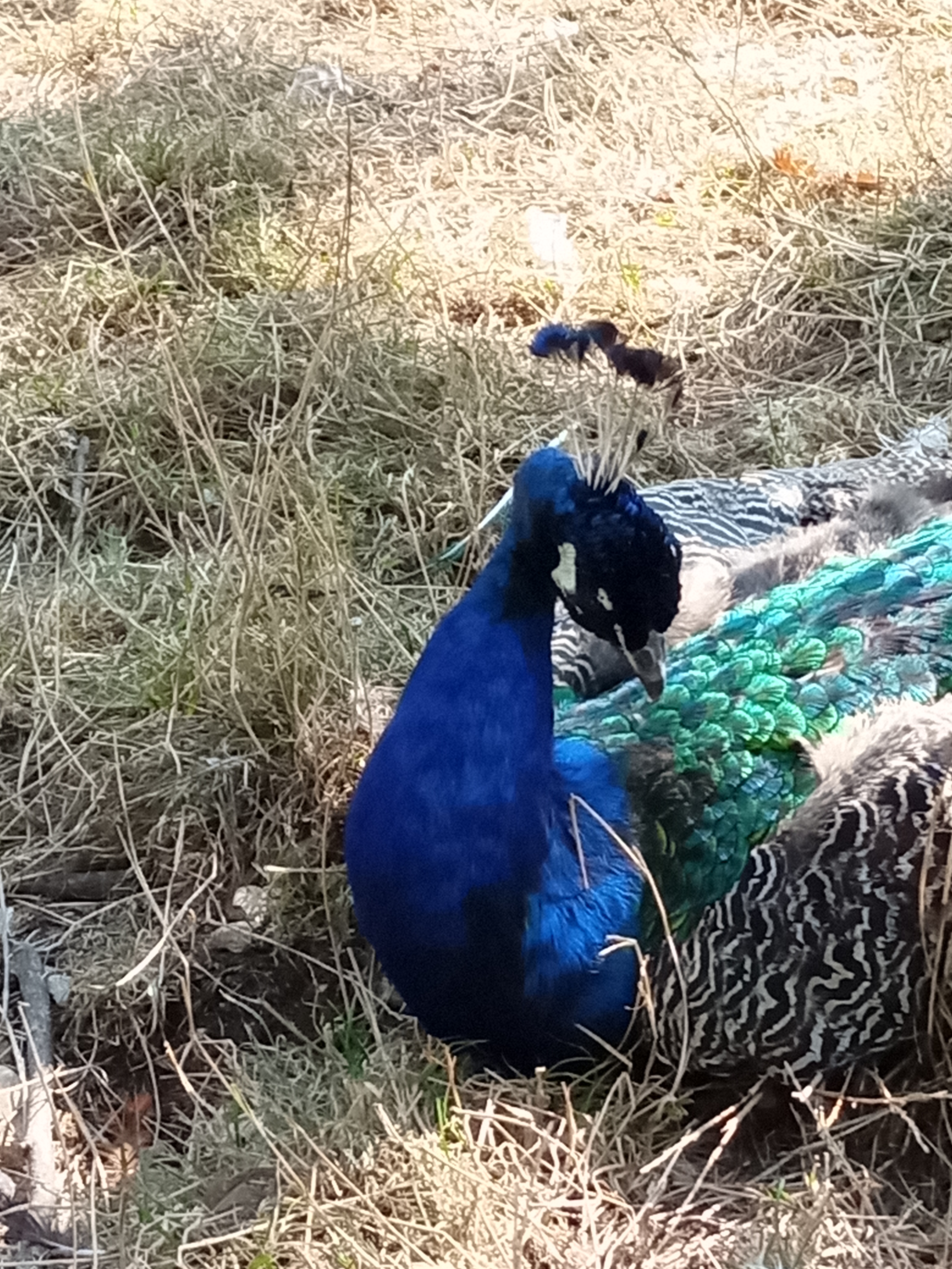 Photo n° 8 de l'avis de Sabrina. fait le 21/09/2020 à 16:35