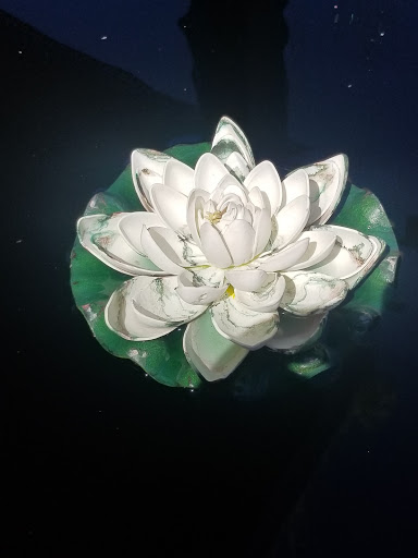 Art Museum «Museum of Contemporary Art Denver», reviews and photos, 1485 Delgany St, Denver, CO 80202, USA