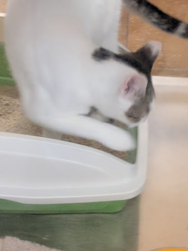 Pet Supply Store «PetSmart», reviews and photos, 573 N McKinley St, Corona, CA 92879, USA