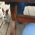 Photo n°3 de l'avis de Lutz.o fait le 03/06/2023 à 11:04 sur le  Landhafen Boot & Mehr à Rheinsberg