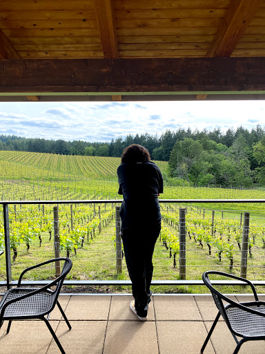 Winery «Trisaetum Winery», reviews and photos, 18401 NE Ribbon Ridge Rd, Newberg, OR 97132, USA
