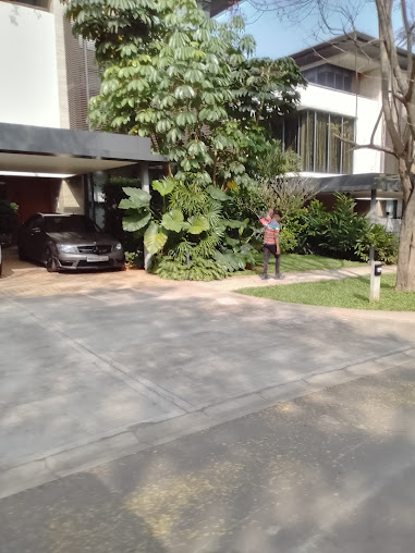 Google Maps image 14