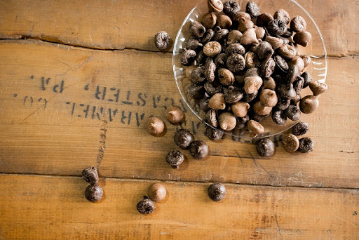 Candy Store «Wilbur Chocolate Retail Store», reviews and photos, 45 N Broad St, Lititz, PA 17543, USA