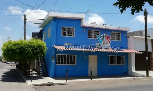Clinica Veterinaria Vallado