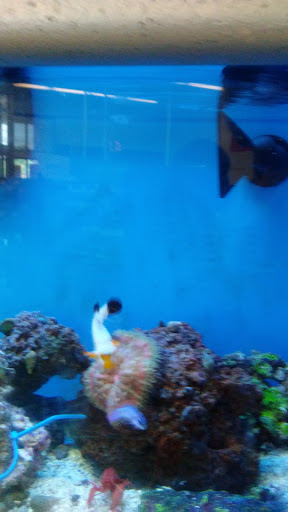 Pet Supply Store «Petco Animal Supplies», reviews and photos, 12551 Jefferson Ave #119, Newport News, VA 23602, USA